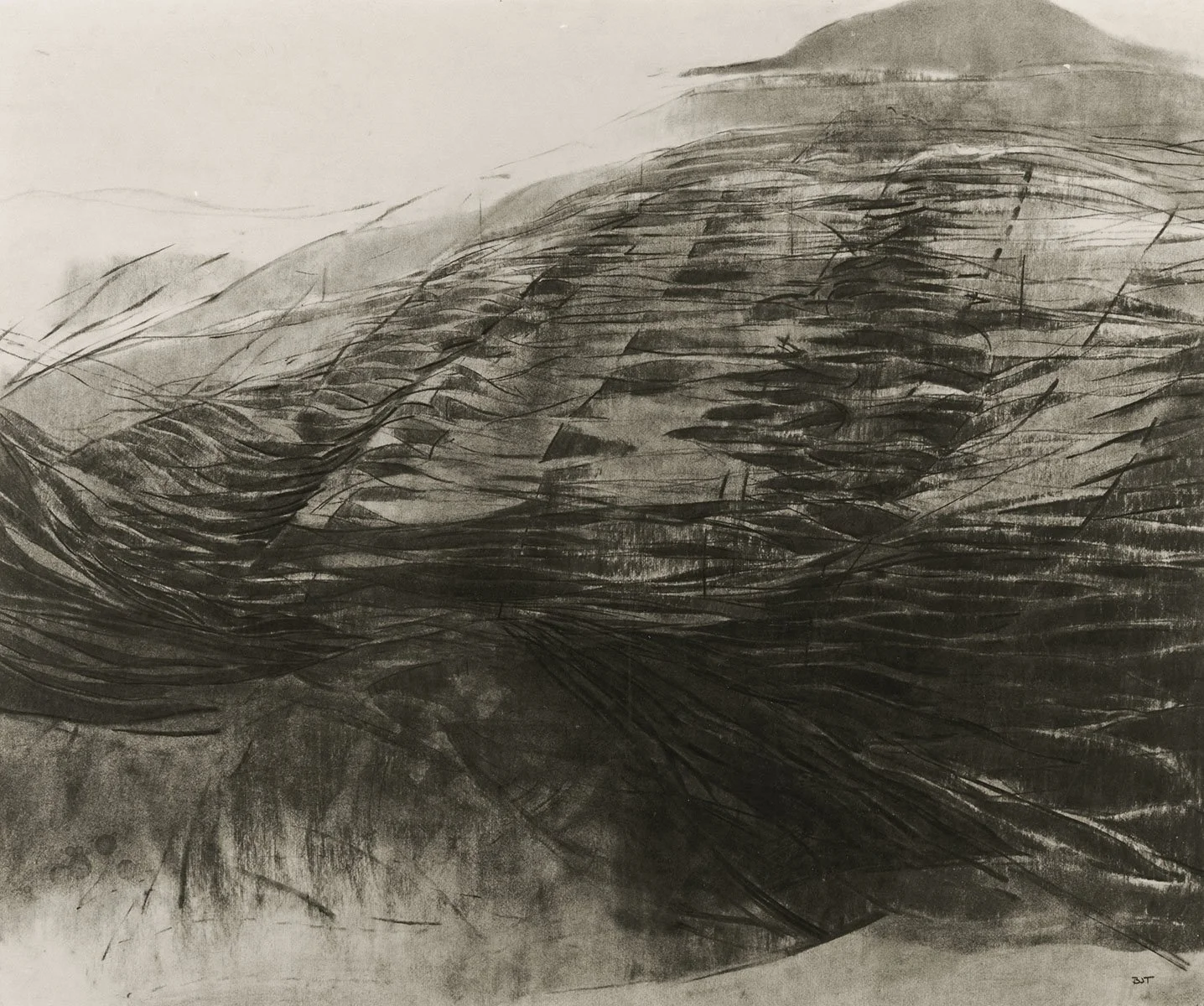 163. Rippling Grass Landscape, 76 x 110 cm, 1998