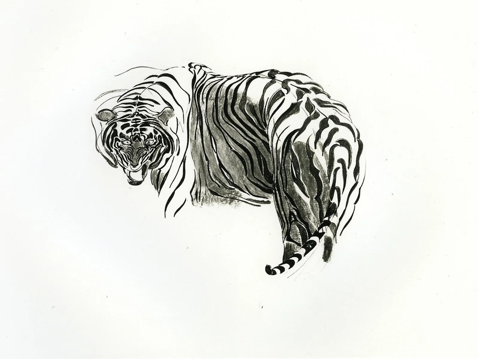 166. Tiger 1, 83.5 x 58.5 cm, 1990, NFS