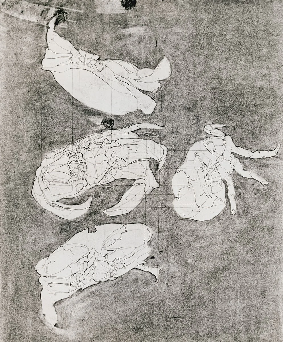 142. Crabs, 4 Views, 71 x 66 cm, Circa 1970, NFS