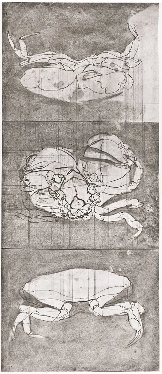141. Crabs, 3 Views, 66 x 35 cm, Circa 1970, NFS