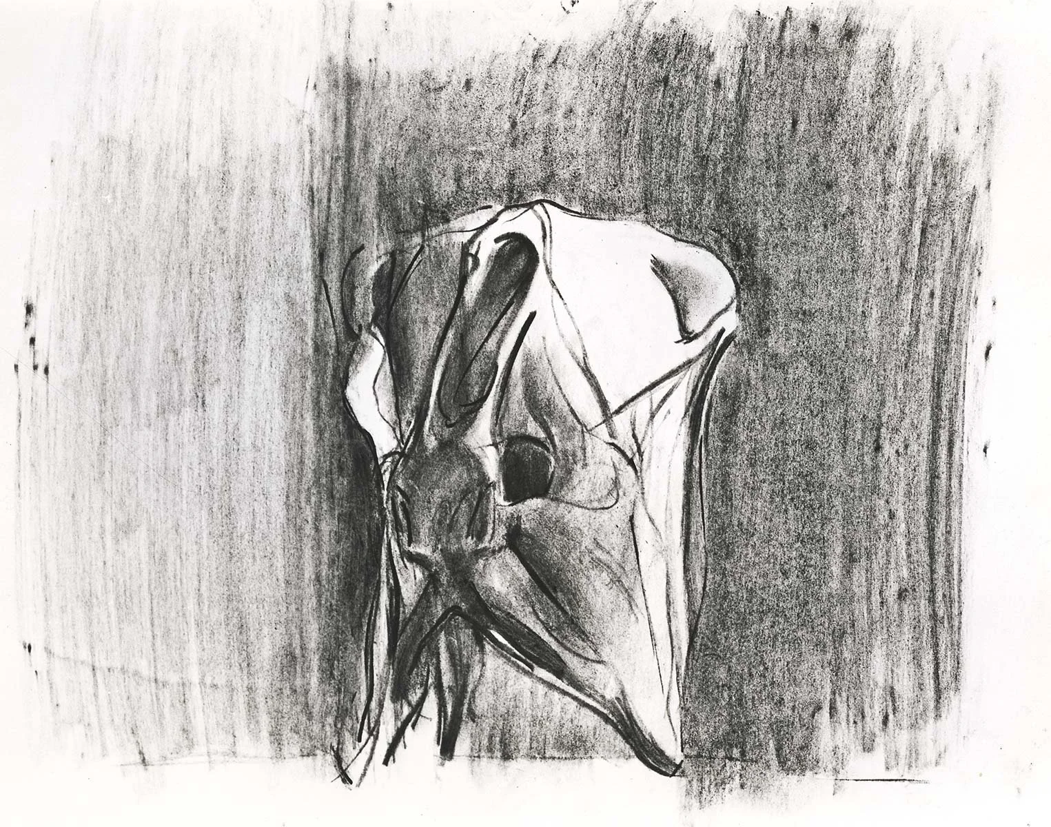 107. Skull 5, 76 x 55 cm, 1985