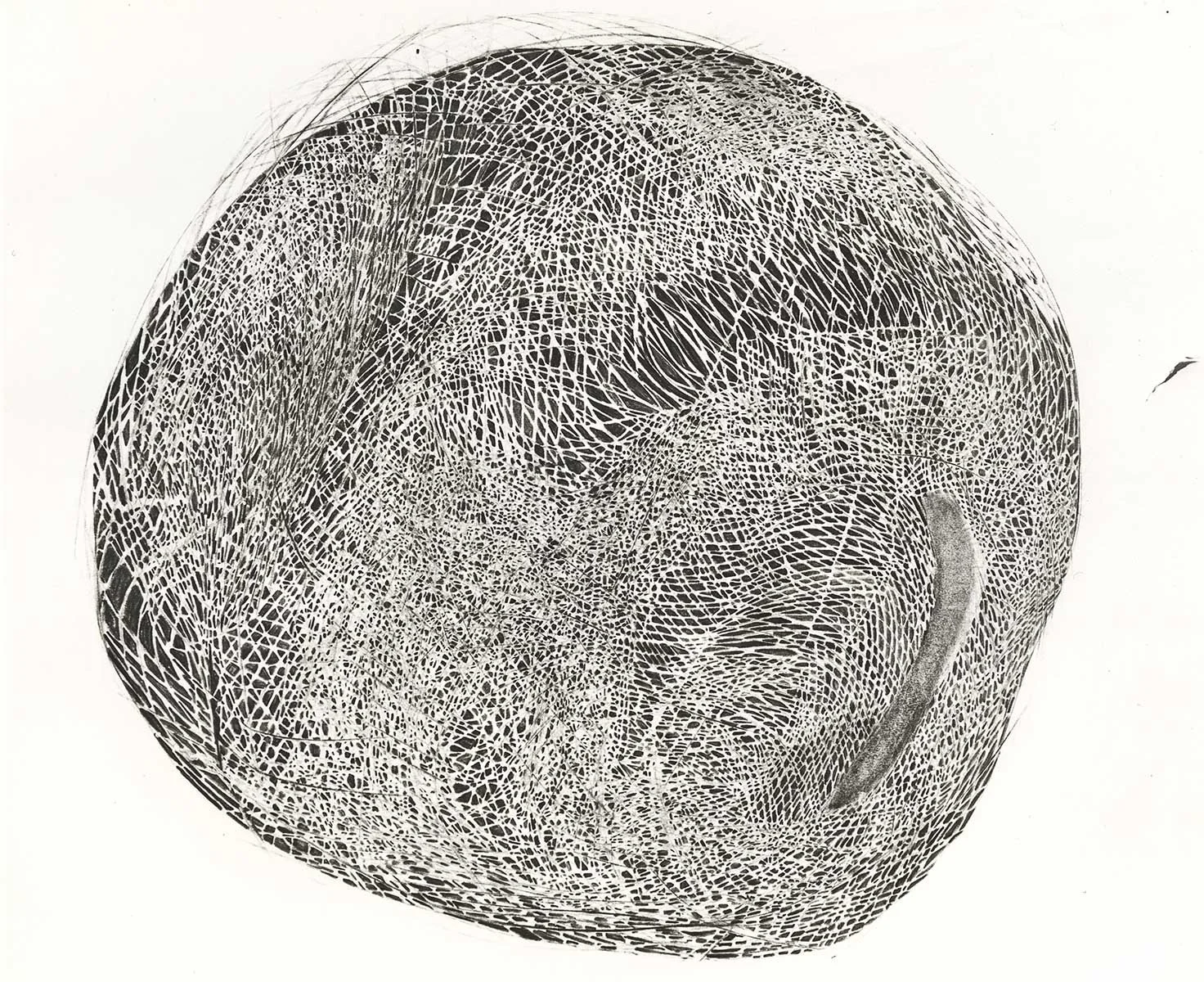 155. Abstract Sunflower Head, 110 x 86.5 cm, 1965