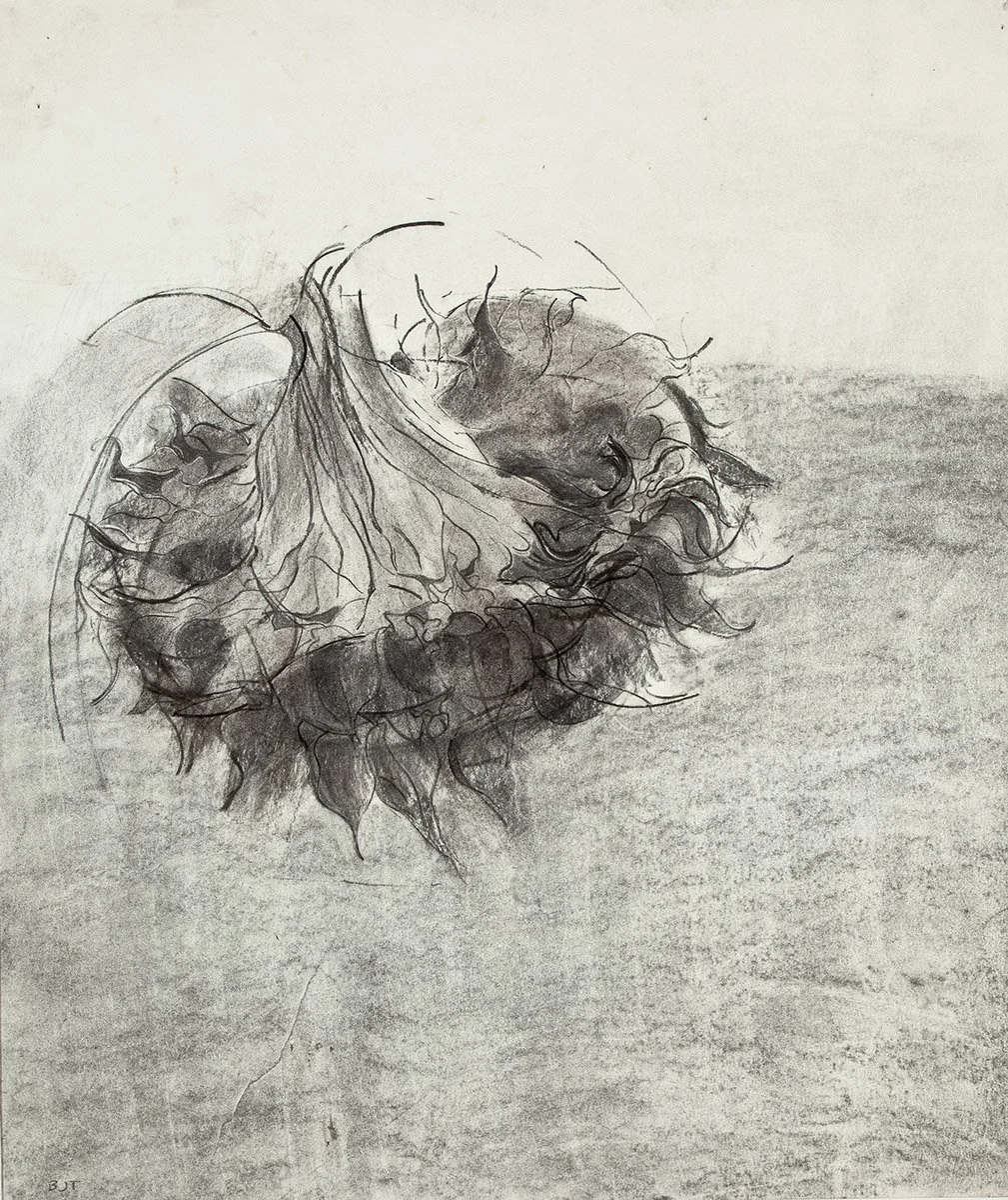 146. Sunflower 2, 105 x 86.5 cm, 1990