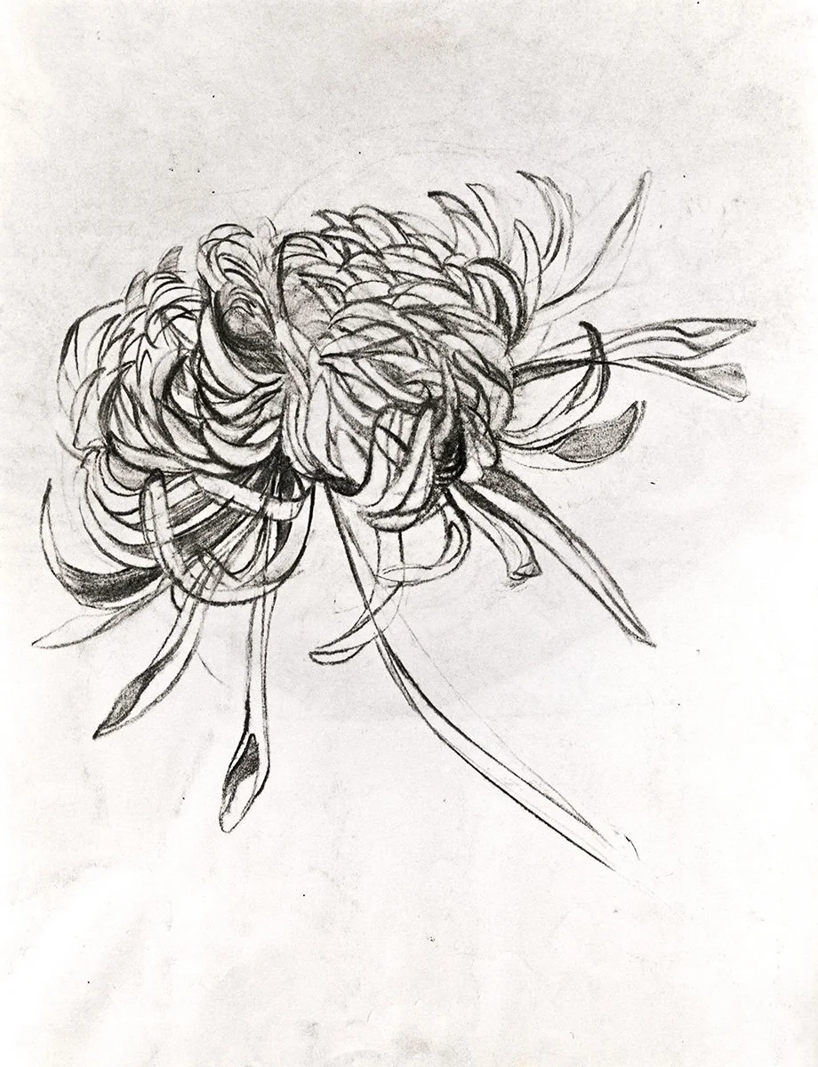 129. Chrysanthemum Early Flowers 2, 76 x 56 cm, 1968, NFS