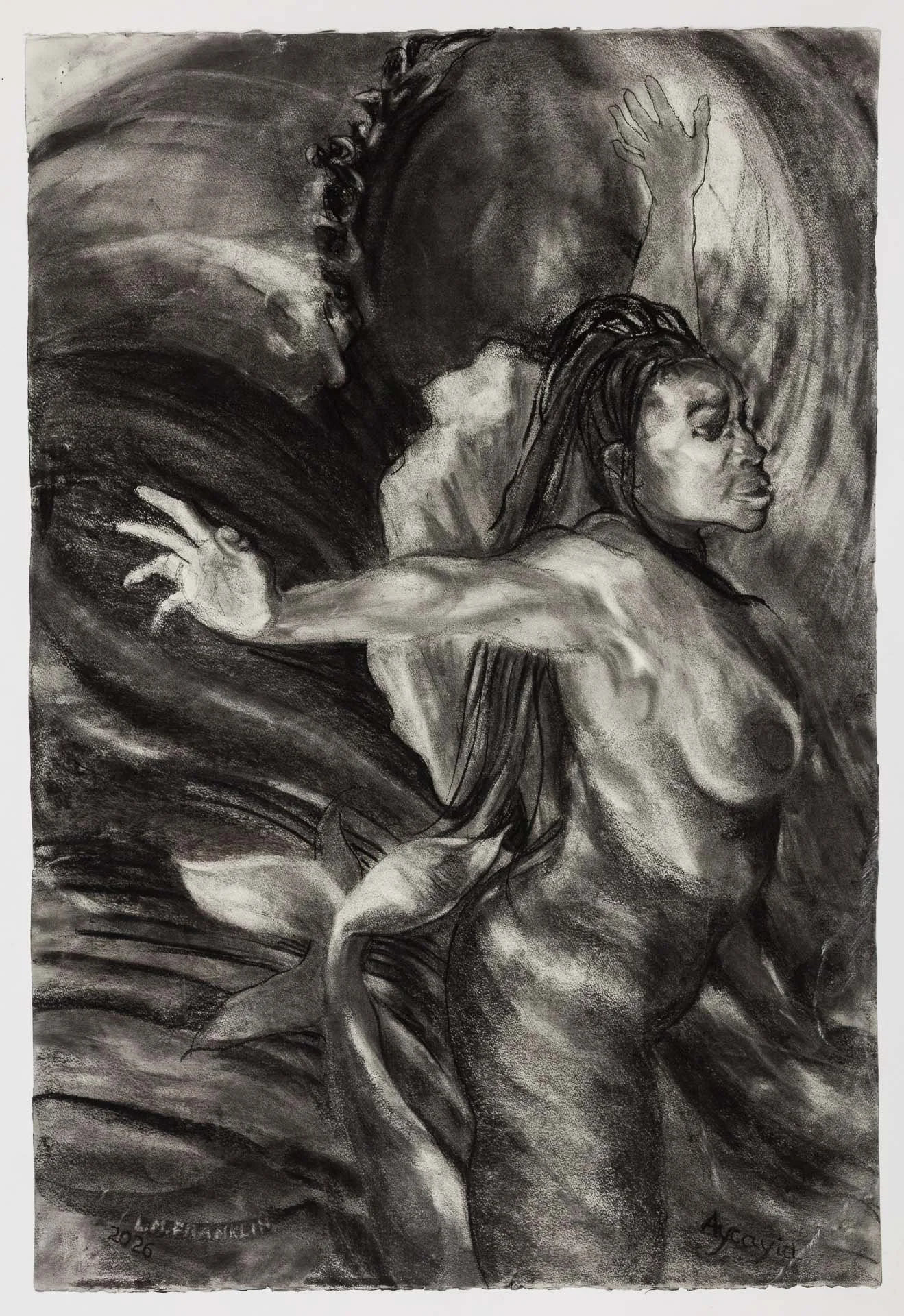 Aycayia, charcoal drawings, 2026