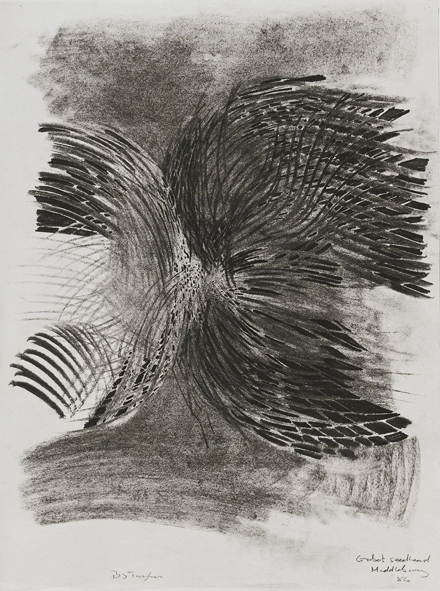 111. Seed head 2 after Naum Gabo, 61 x 46 cm, 1984