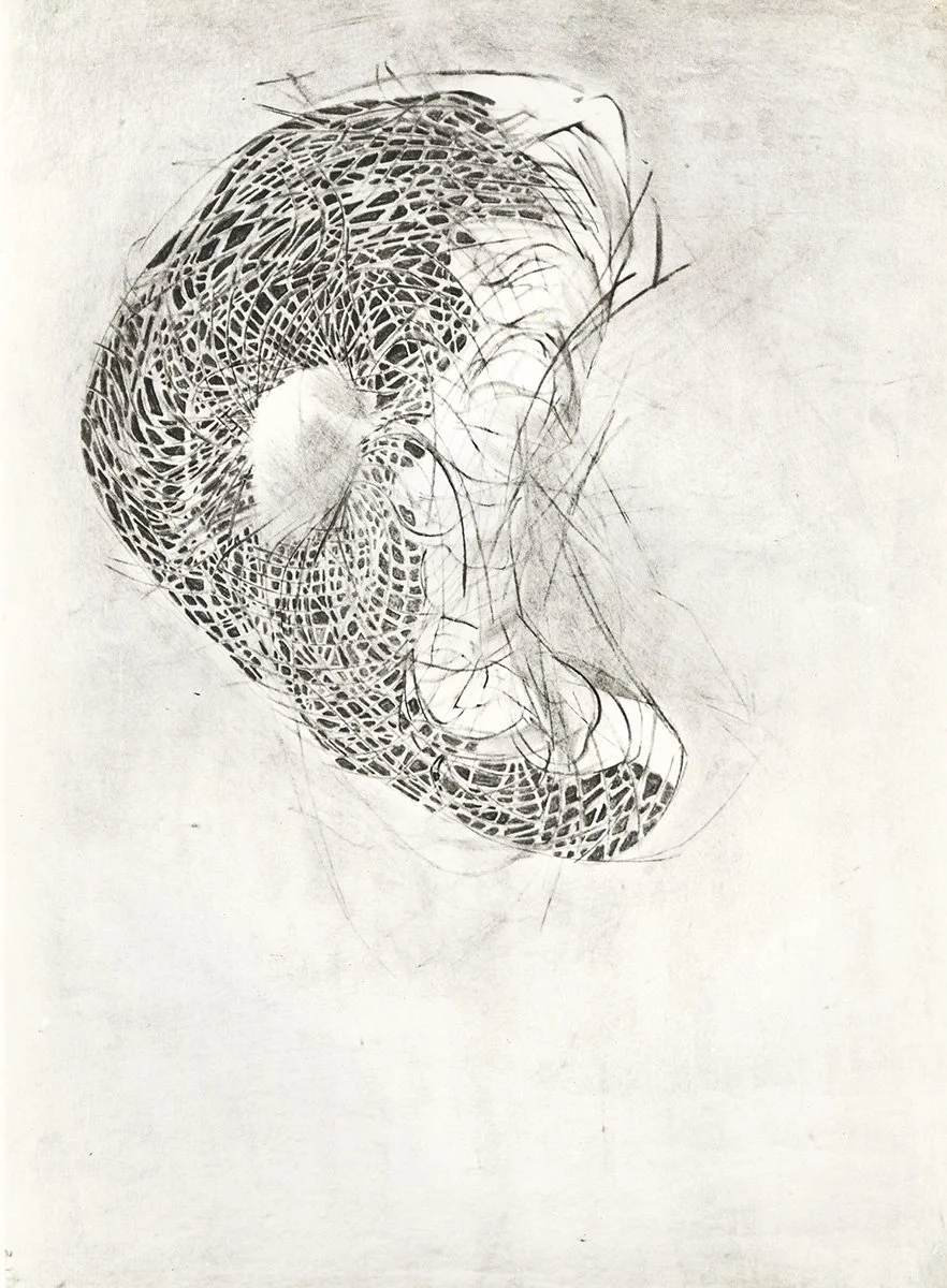 150. Abstract Sunflower Head 13, 76 x 55.5cm, 1965