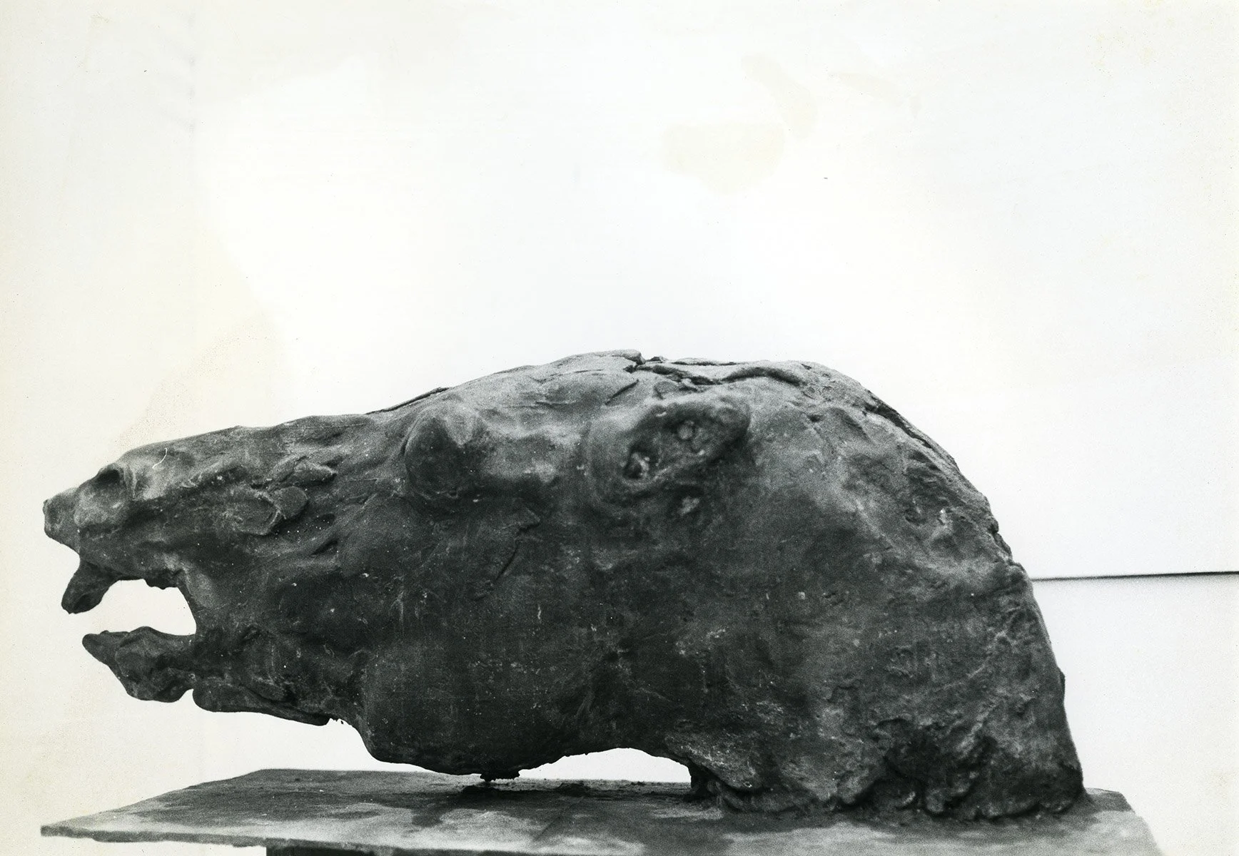 8. Horse Head,  Bronze, Circa 1970, 30 x 56 x 23 cm