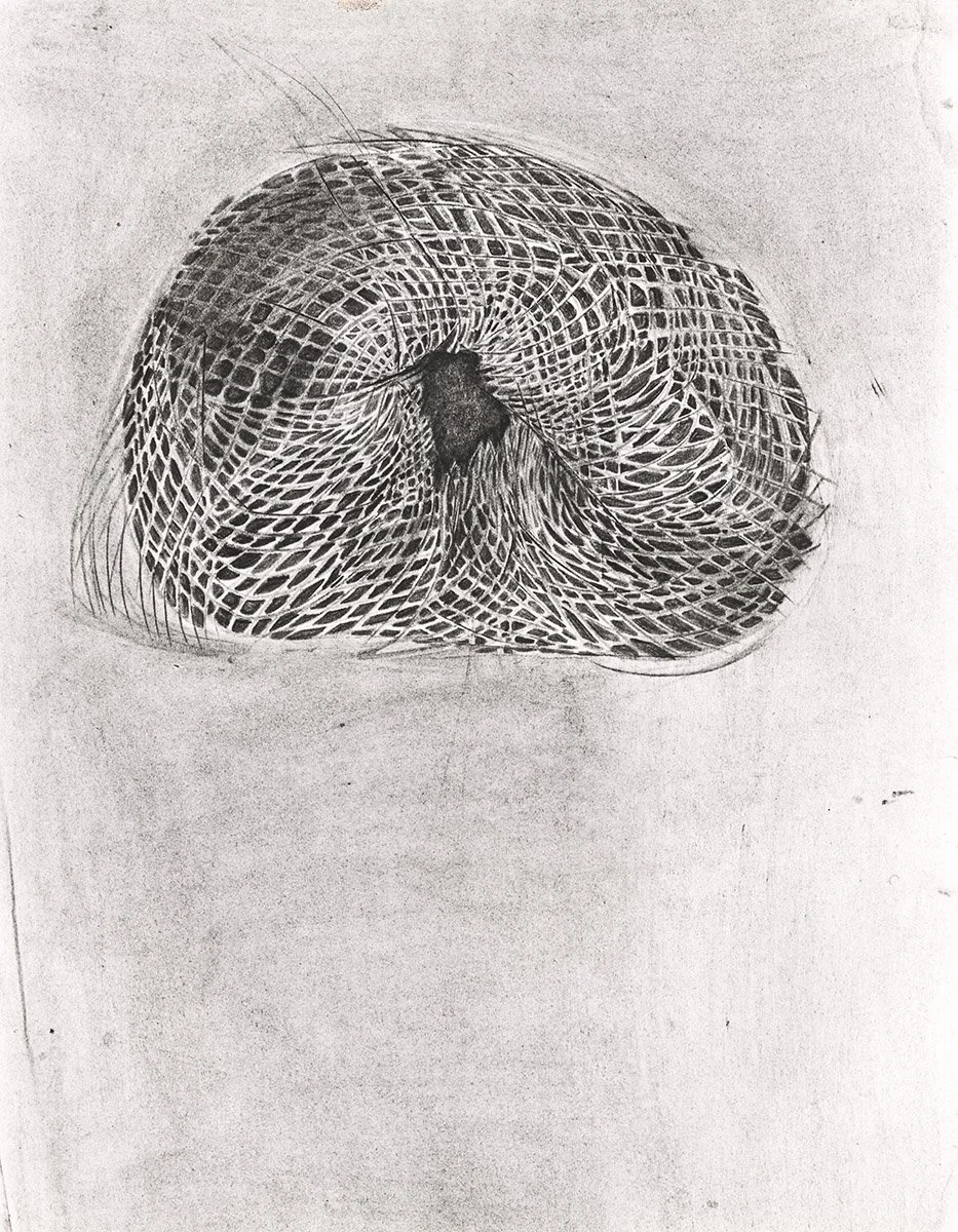 148. Abstract Sunflower Head 14, 76 x 55.5cm, 1965