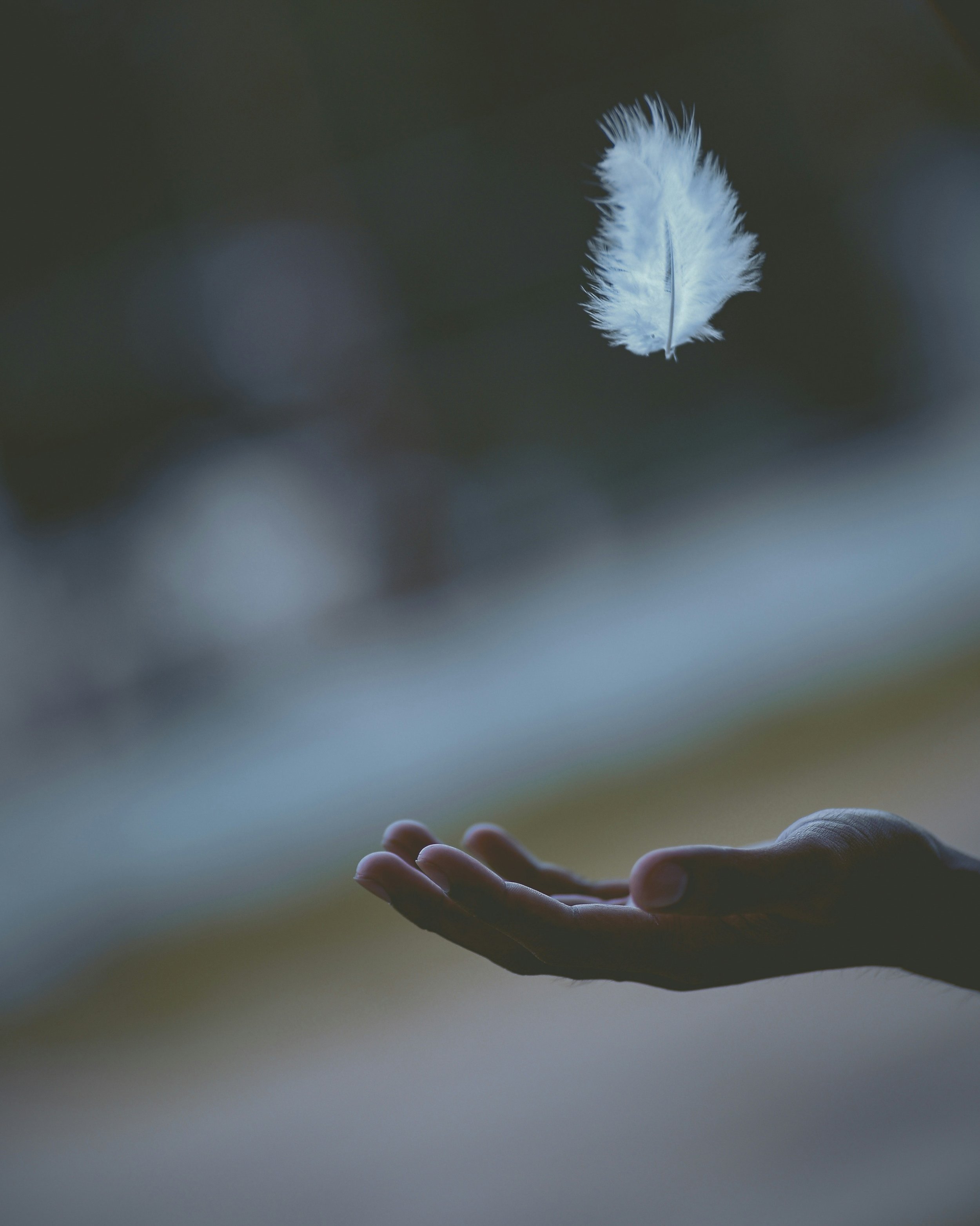 Reiki & Soul Alignment Session - 45 minutes