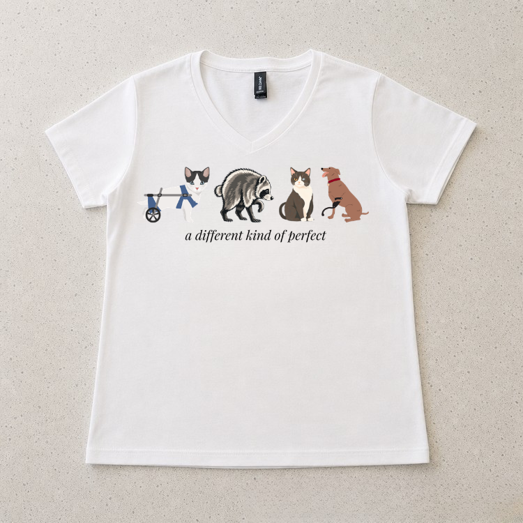 Untitled design - 2026-07-30T144539.438.png