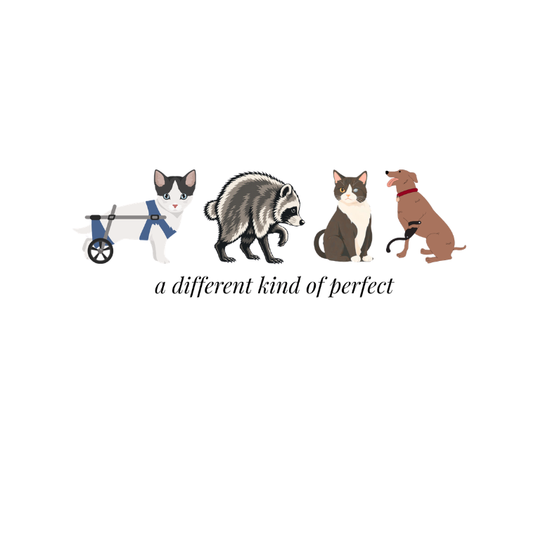 Untitled design - 2026-07-30T143527.164.png