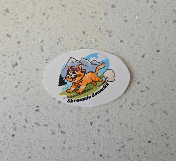 Shroomie Zoomies Sticker