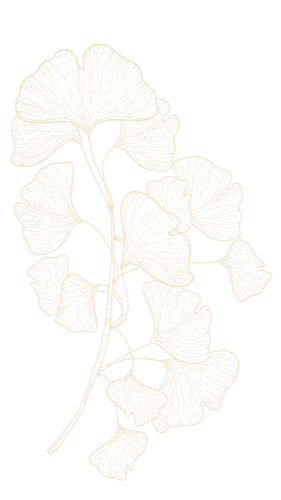 A decorative illustration of ginkgo leaves in gold color on a black background.