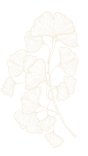 outline of ginkgo leaves in cream color on a black background