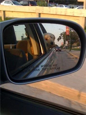 Mya4.jpg