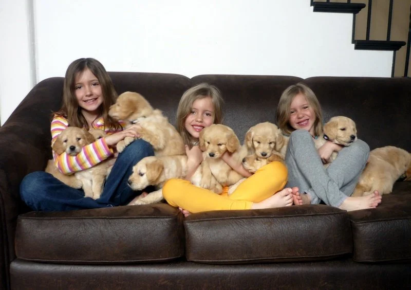 Girls with puppies.JPG2010+(1)+-+Copy.jpg