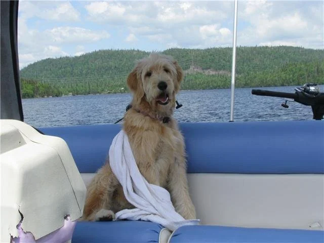 Zoey4.jpg