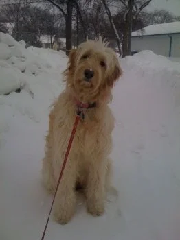 Mya+february,10.jpg1.jpg
