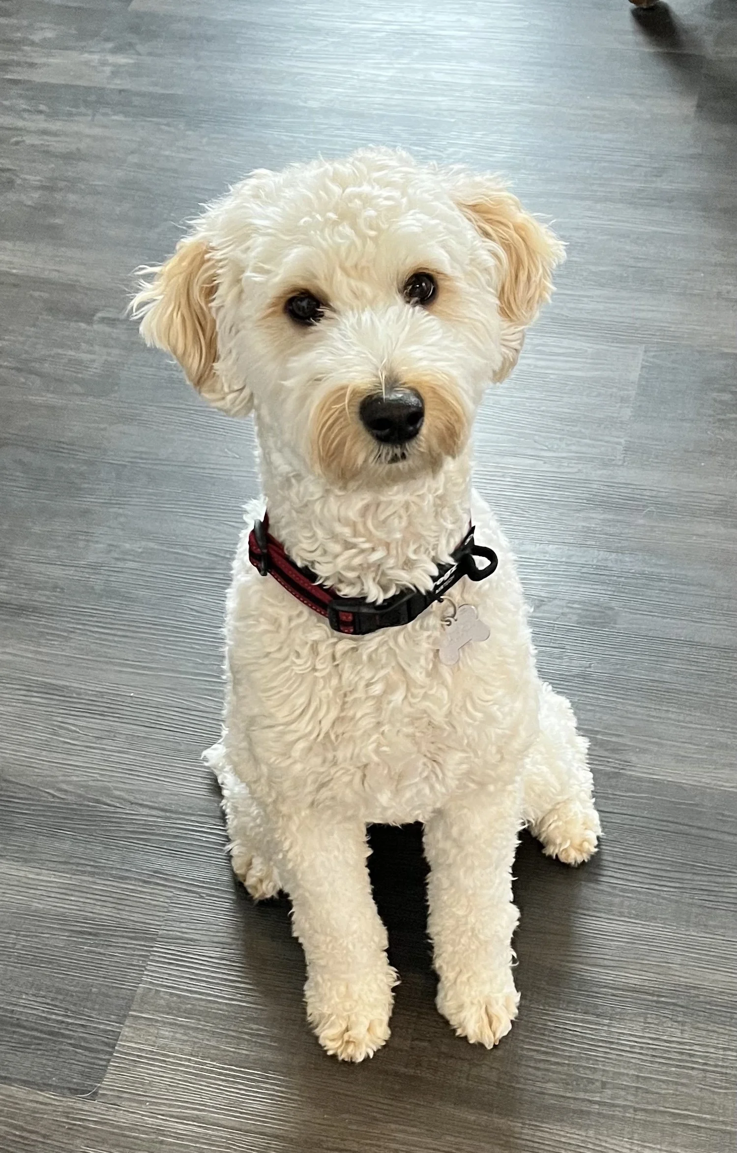 IMG_5971.jpg