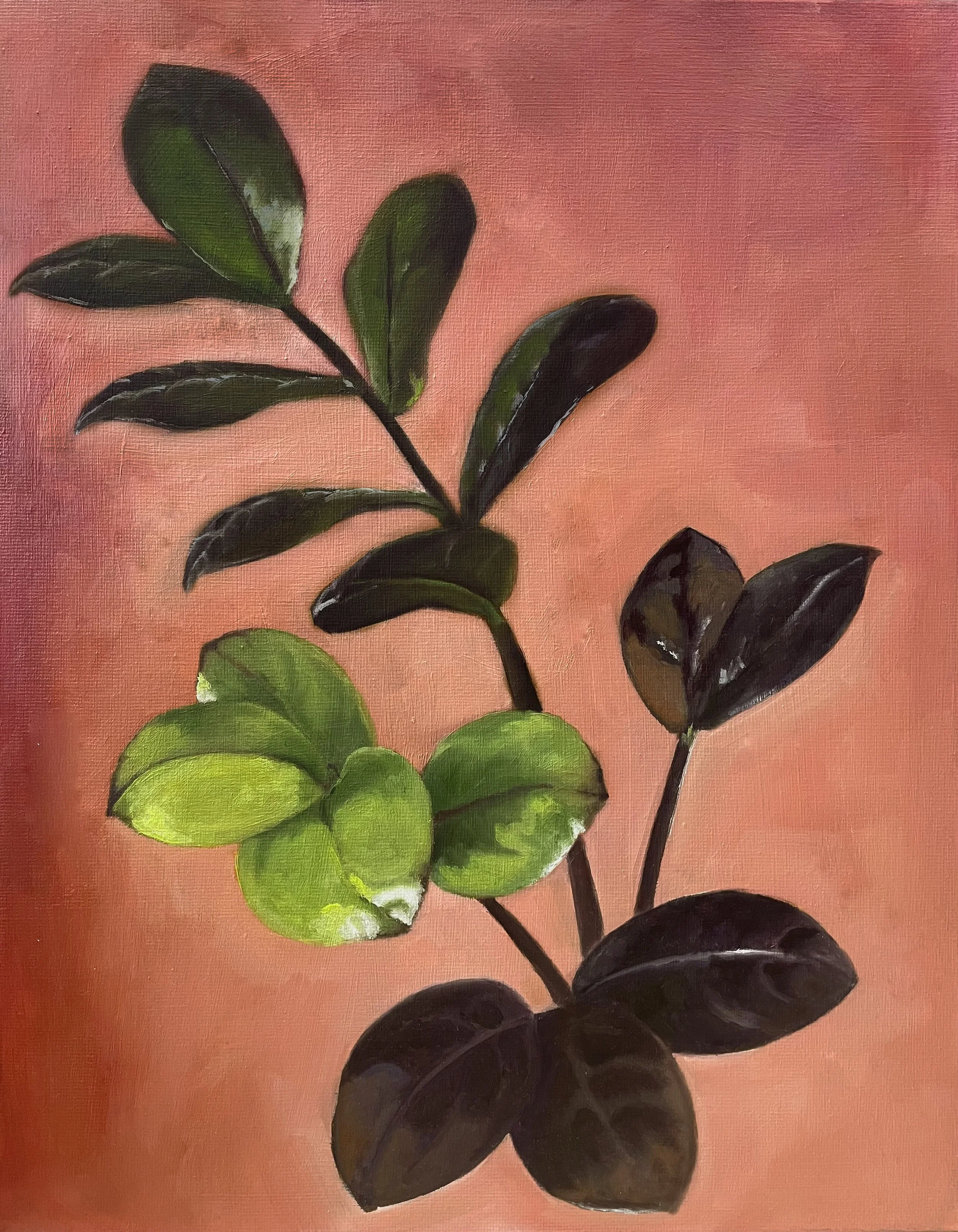 zzraven 01.06.26.jpg