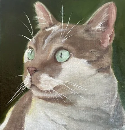 cat commission 1.jpg