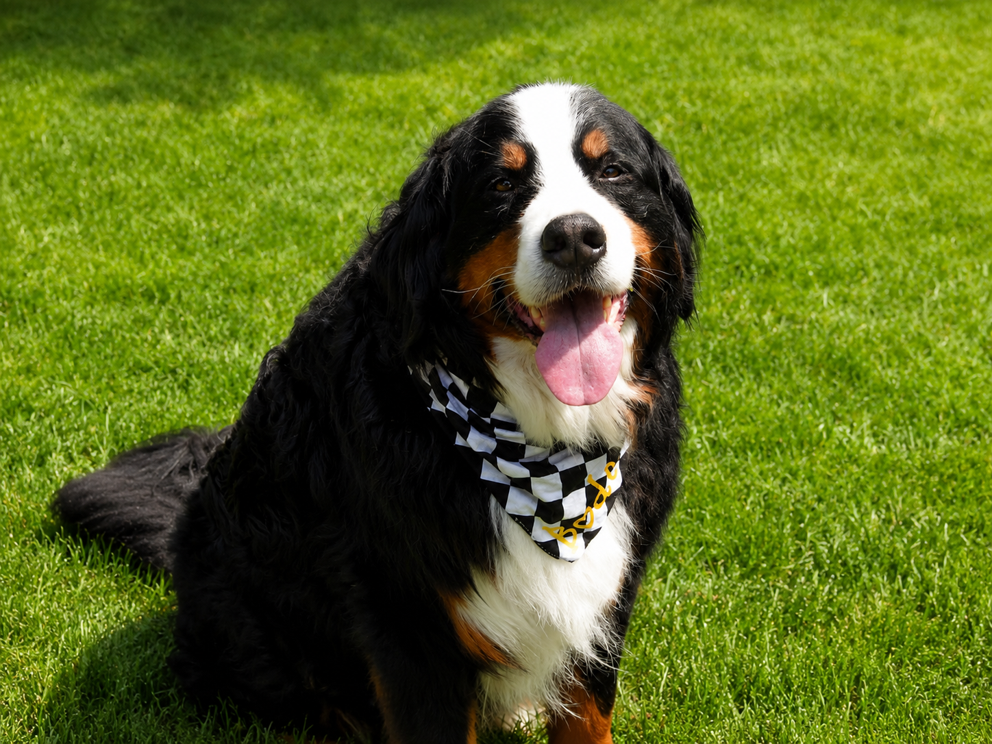 Snap-on Reversible Bandana