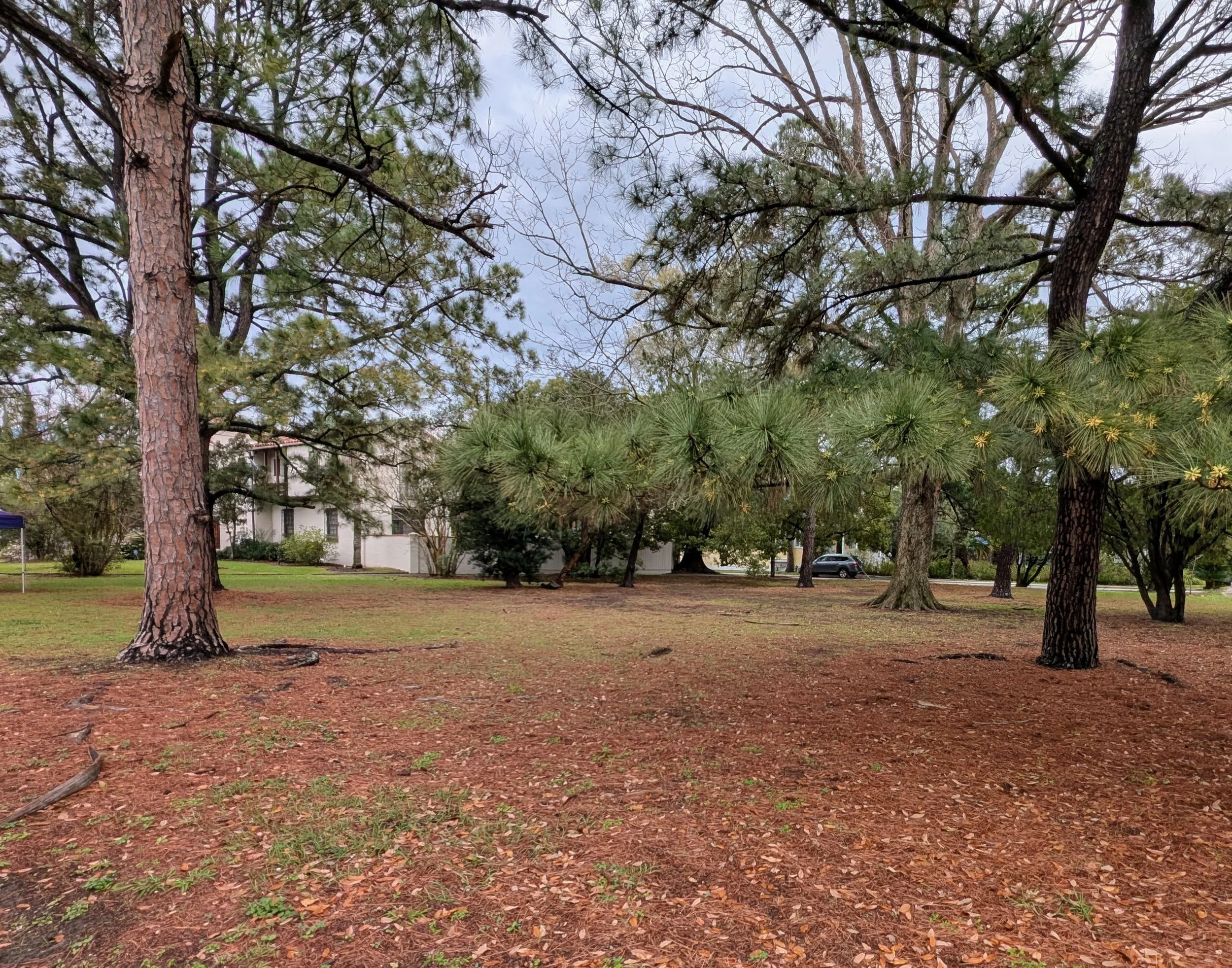 Marly Park at the corner of Broadway & Fontainebleau