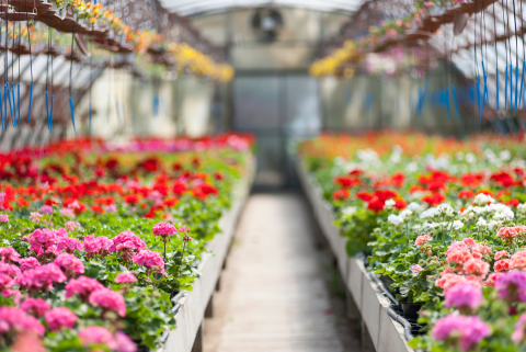 Insurance as a Seasonal Business Owner