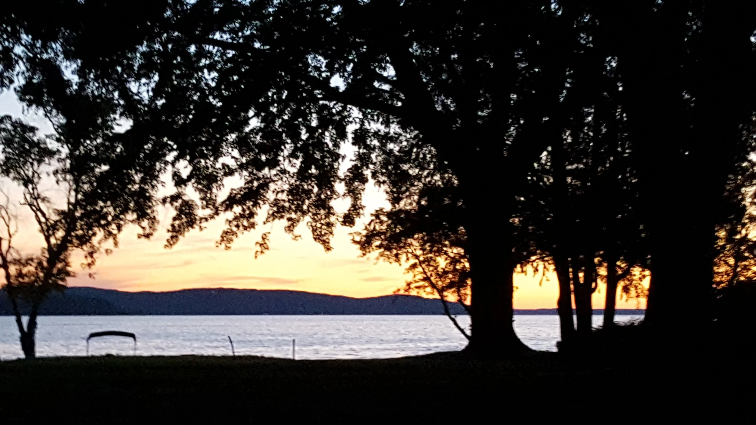 Sunset over a body of water with trees in the foreground, creating a silhouette.