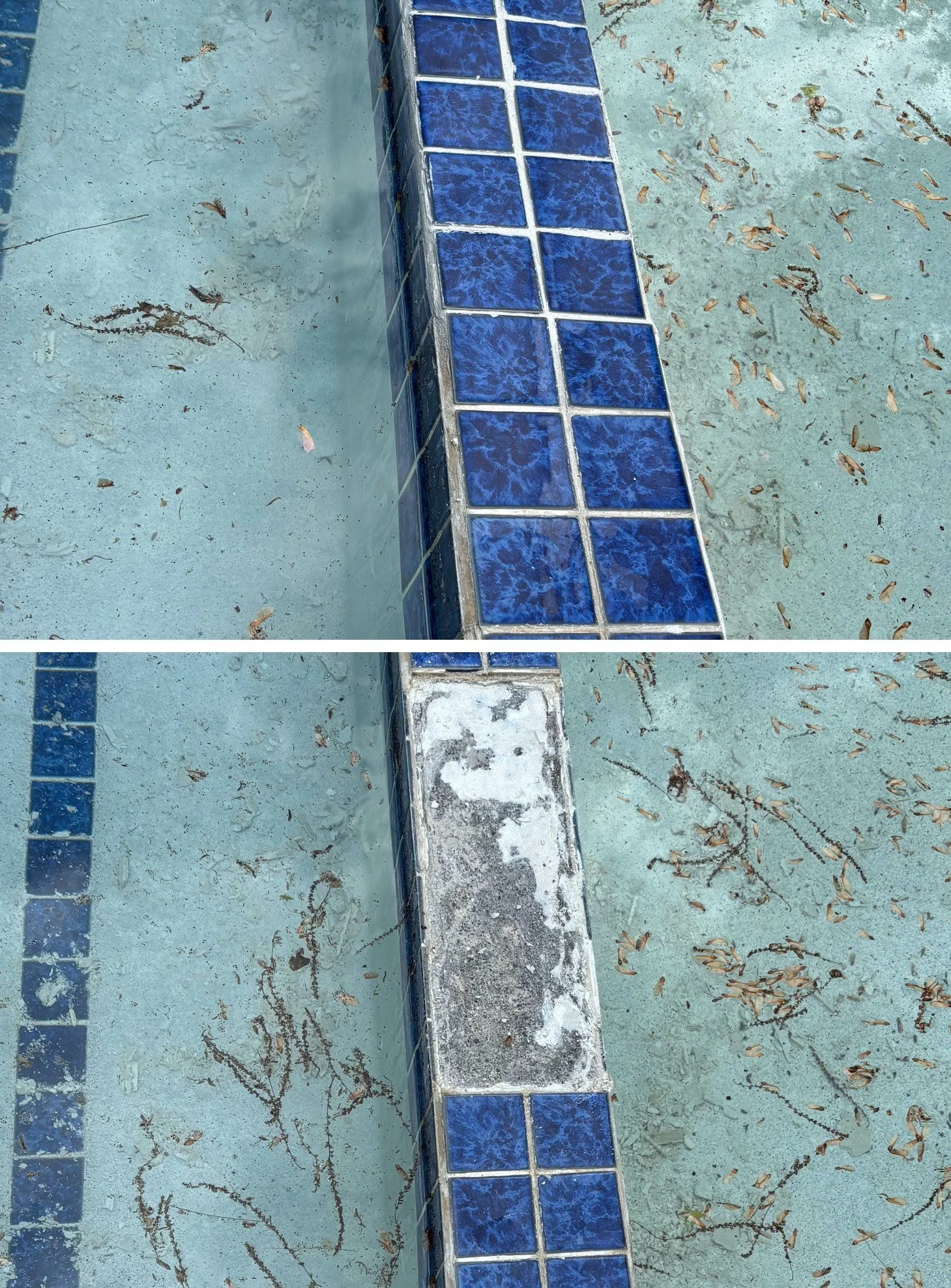 Pool maintenance