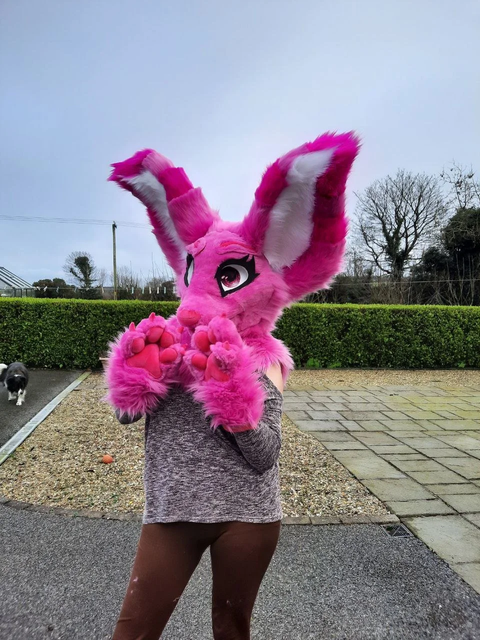 Person wearing a pink fursuit standing in a driveway.