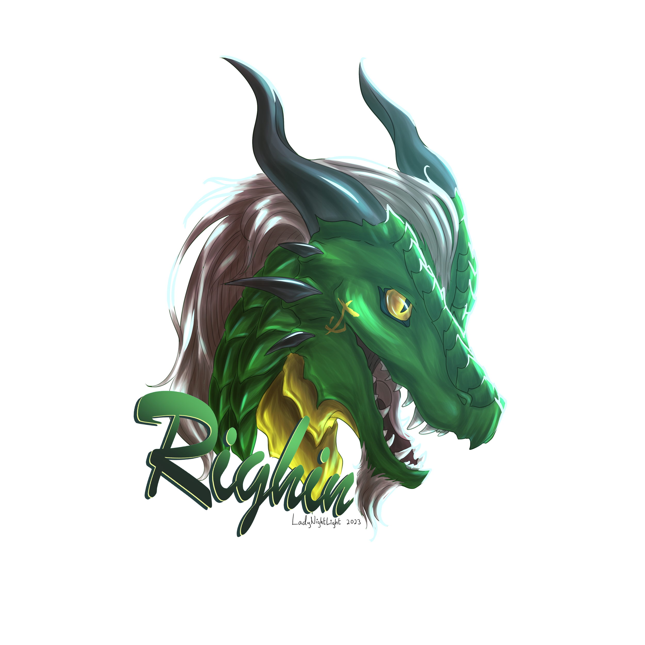 rigin.png