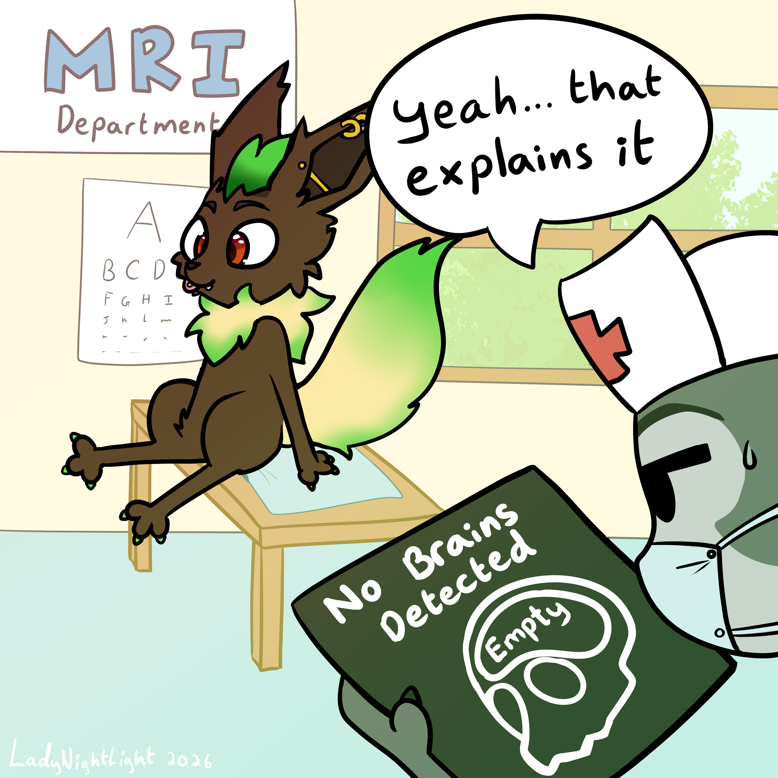 vulcanmri.png