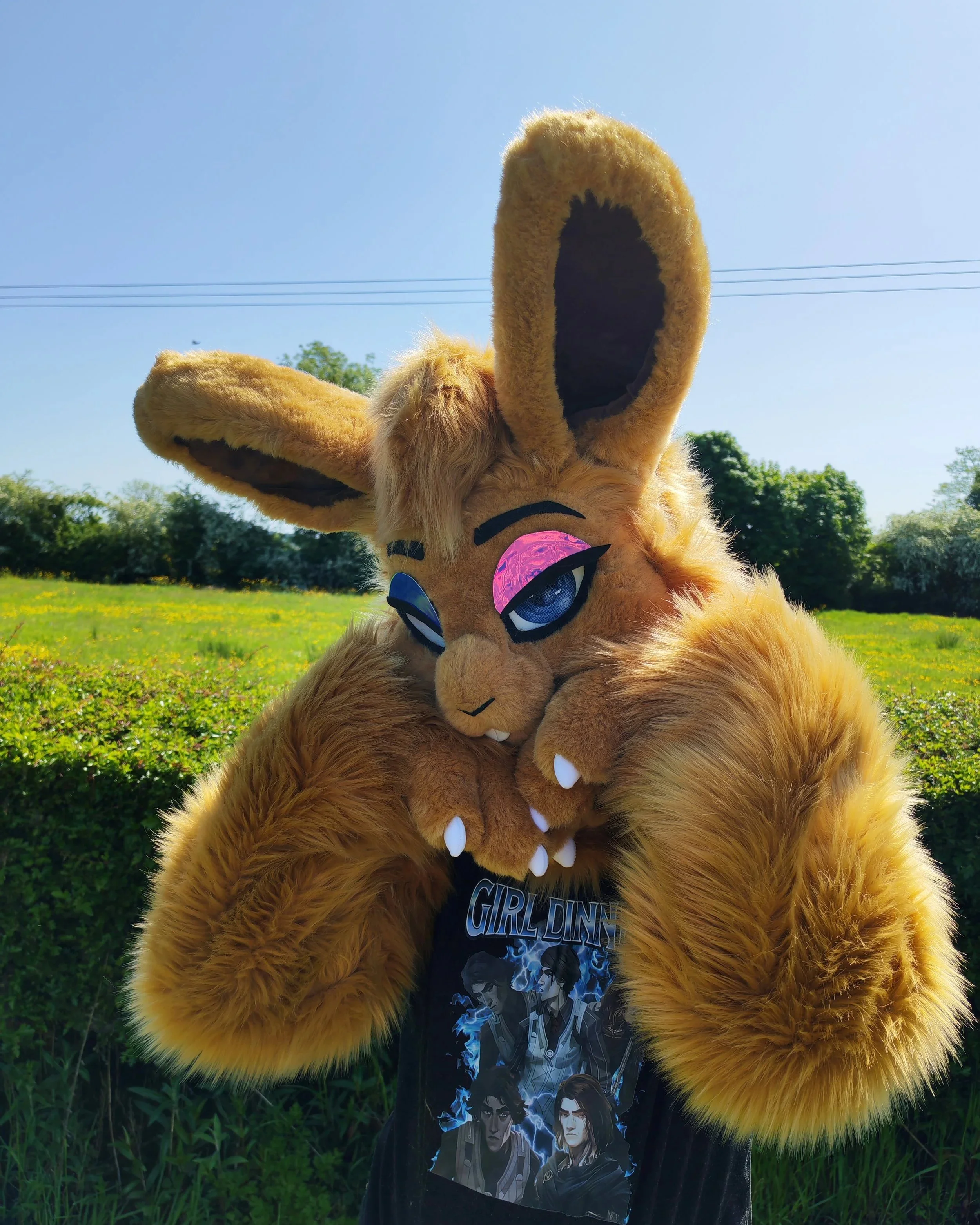 Fursuits