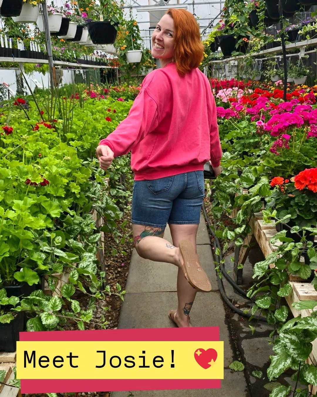 👋 Oh helllooo! 😍 
I'm Josie, the Head Organizer &amp; the "royal we" behind Peace of Mind Home &amp; Estate Support! 😂 

A few fun facts about me:
😻 I'm the definition of crazy cat lady, and proud of it! I'm a cat mom to three goofy lit