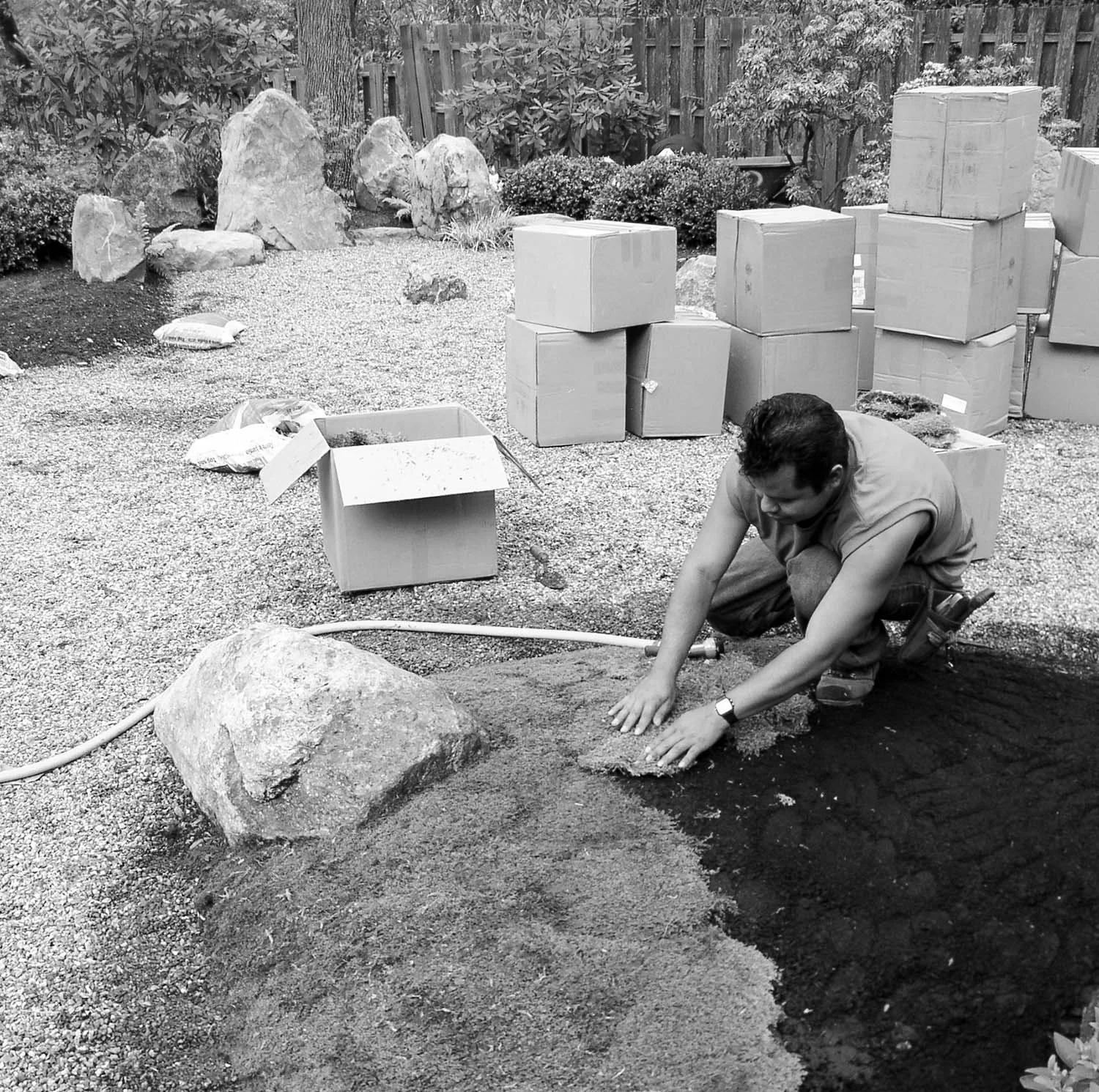 Planting moss in a Japanese rock garden