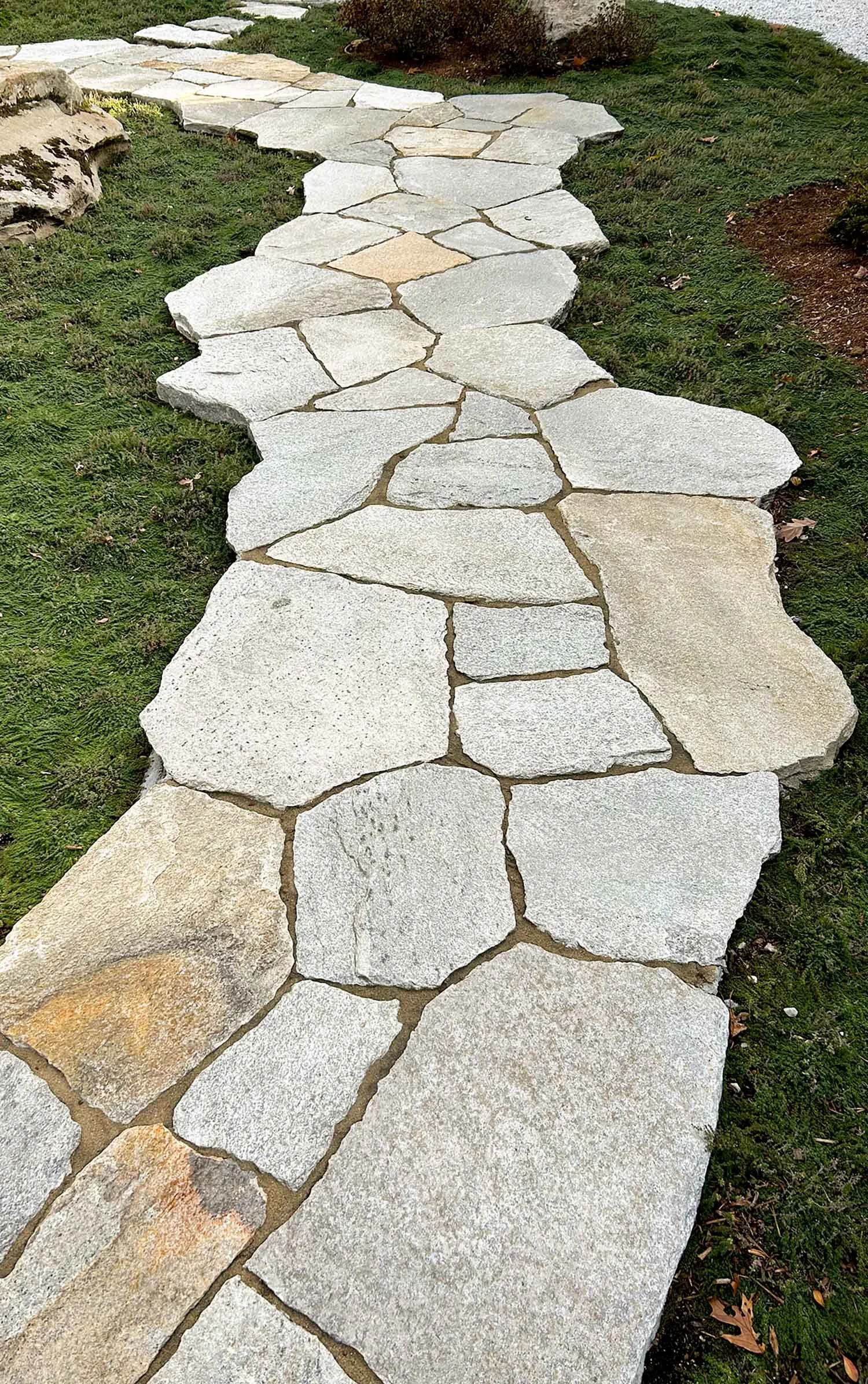 Irregular granite stone path going through Japanese garden in the backyard