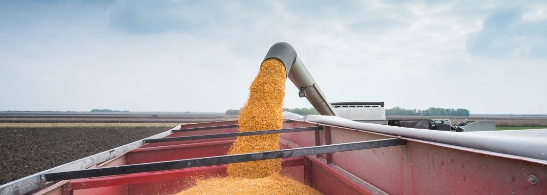 Grain being unloaded from a pipe into a red farm trailer on a cloudy day.
