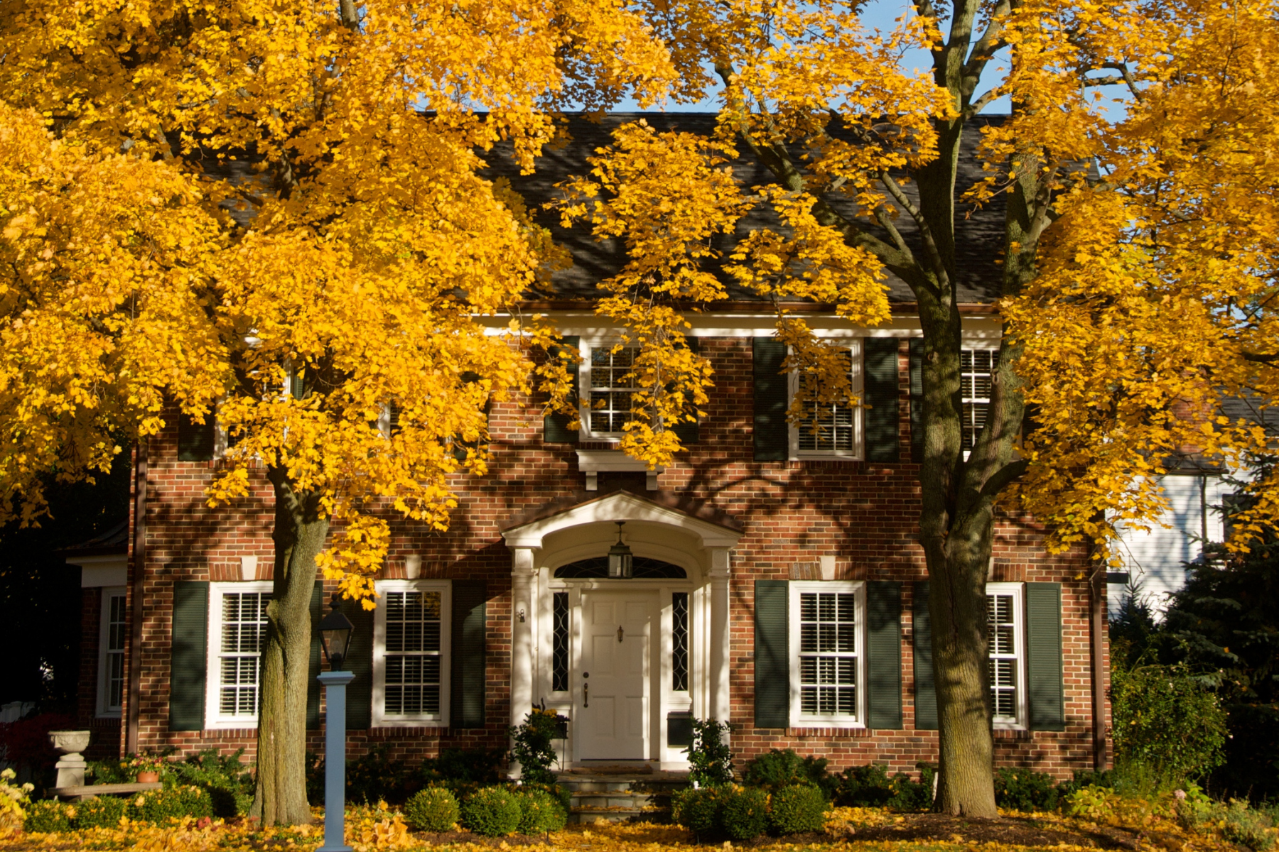 It’s Fall Y’all! 