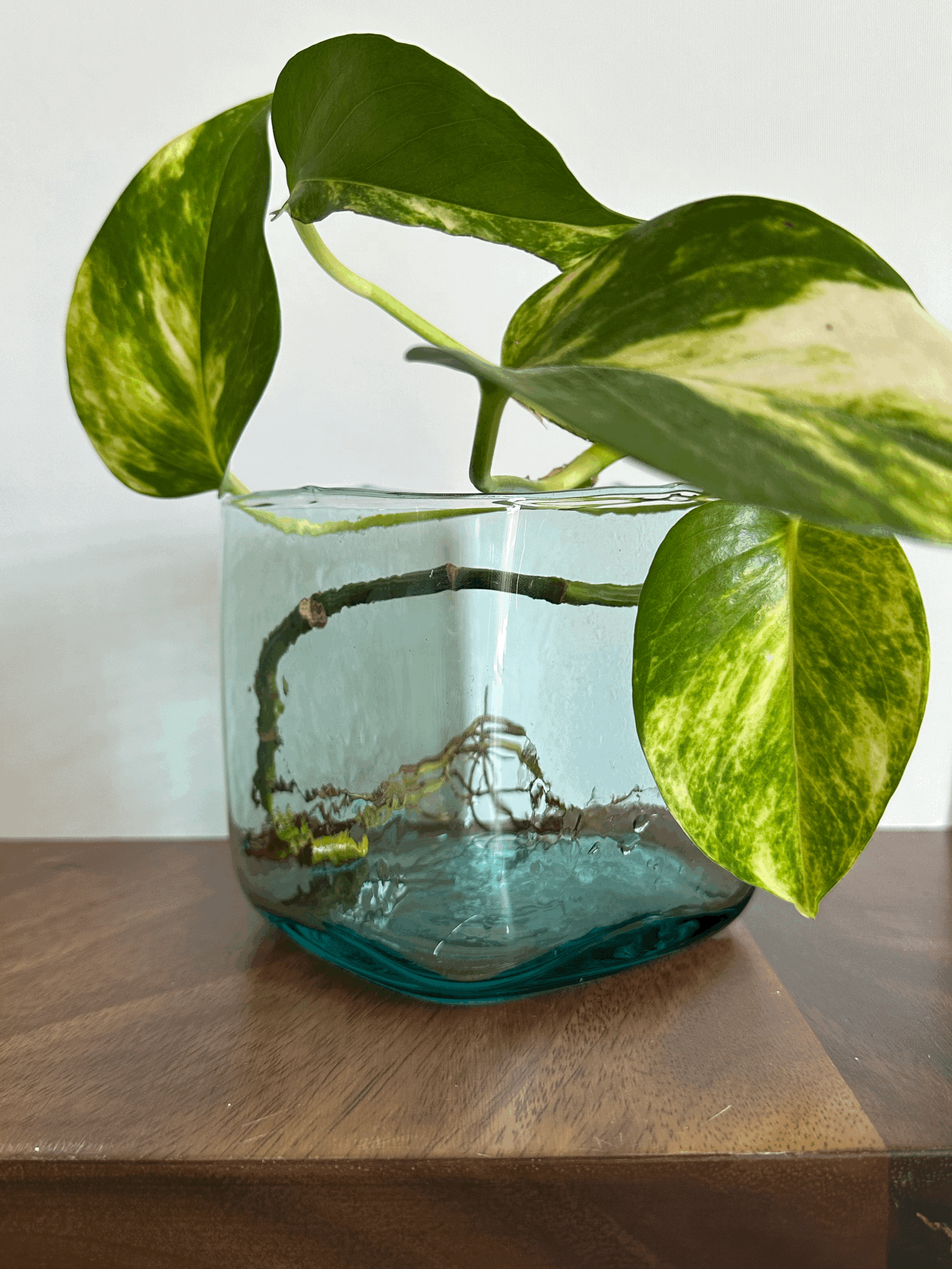 Aqua Hammered Glass Square