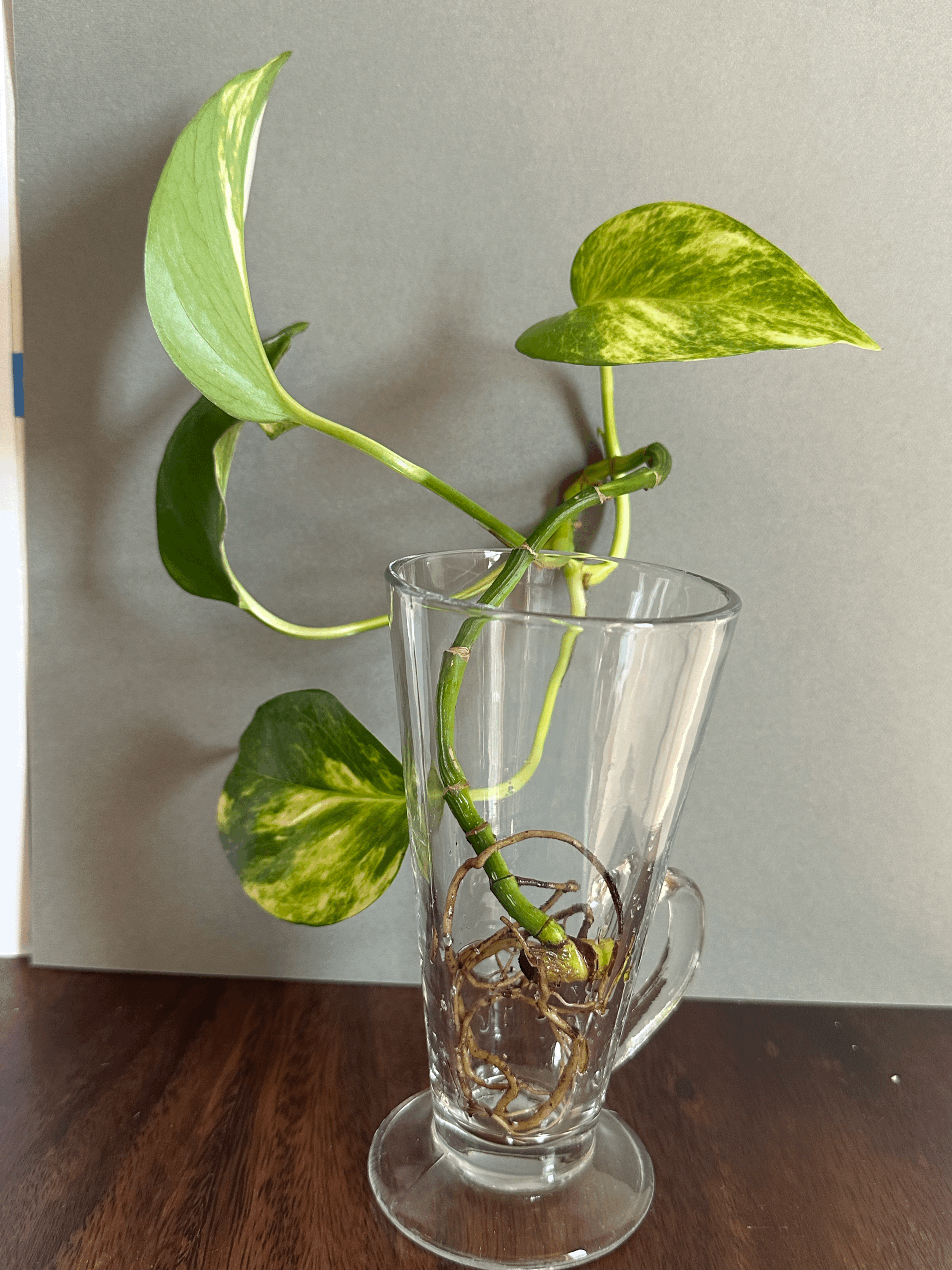 Sundae Funday Vessel