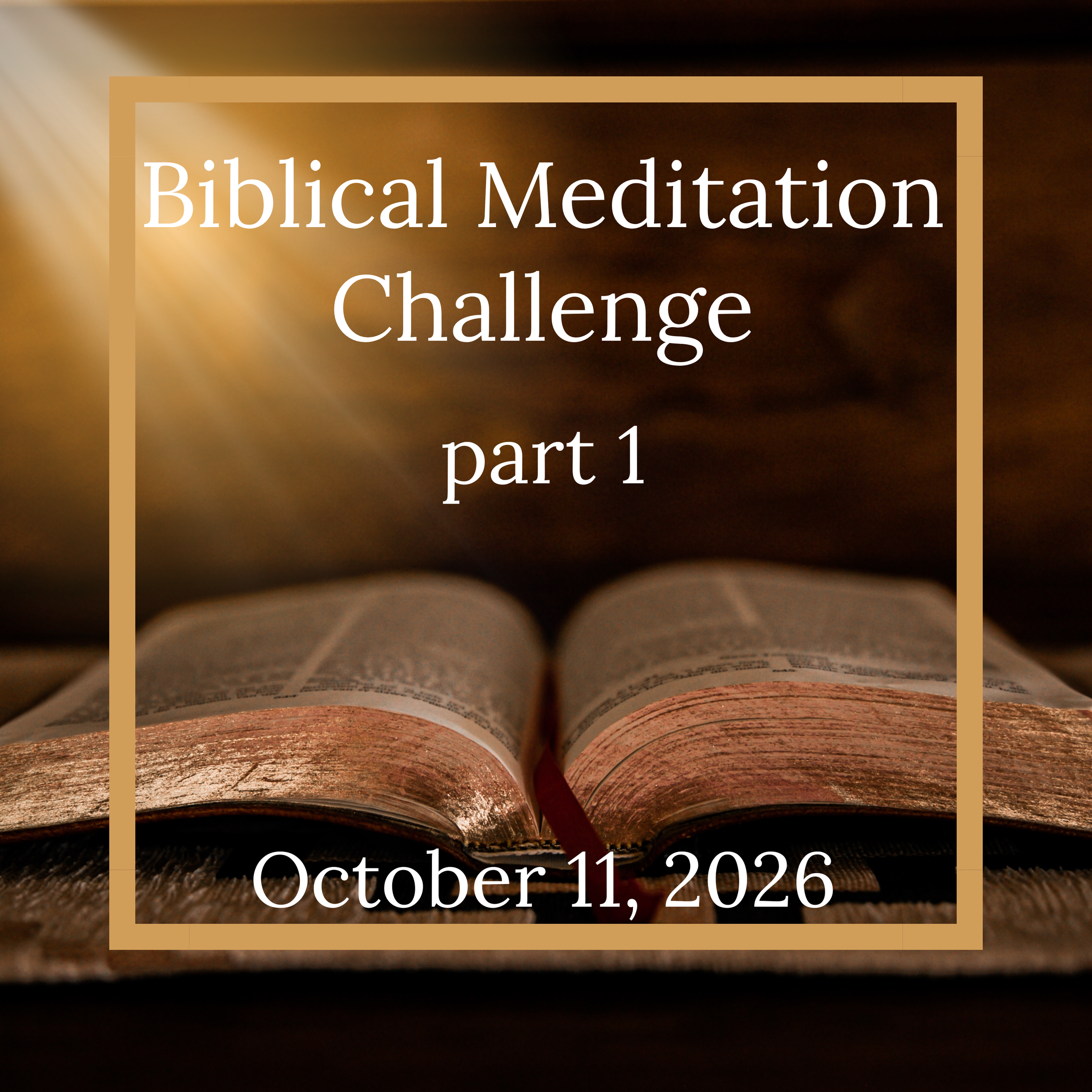 Biblical Meditation Challenge, Part 1