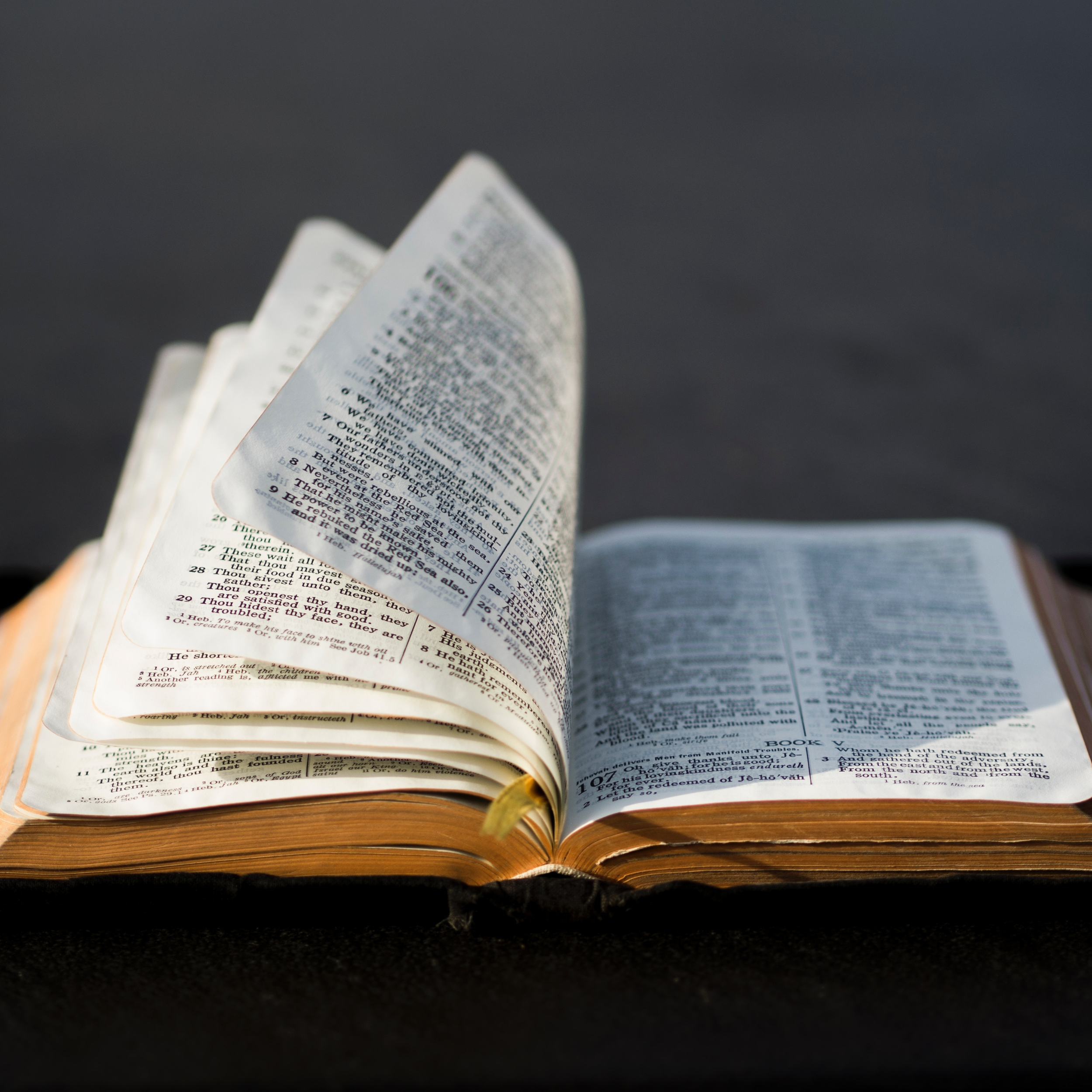 An open Bible has its pages turning as if blown by the wind