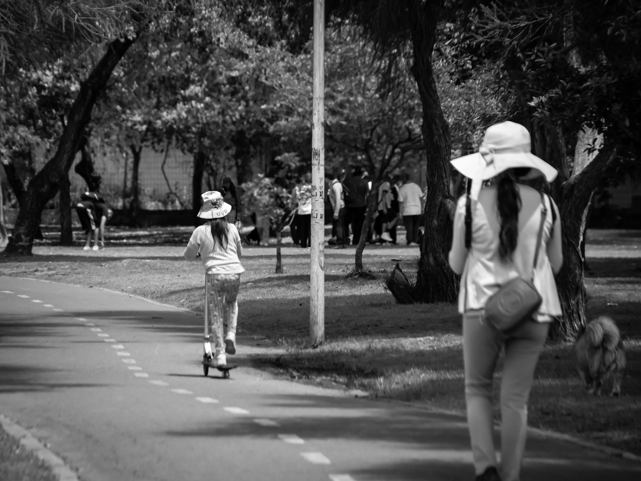 Black and white photo of a park scene with people walking and skateboarding among trees and a pathway.