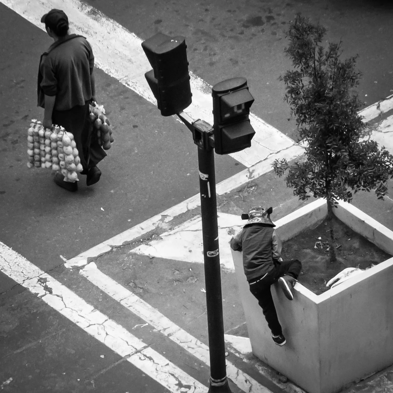 A black and white photo of a person walking on a street carrying two bags of eggs, with a person leaning on a planter box next to a small tree, and a traffic light pole in the center.