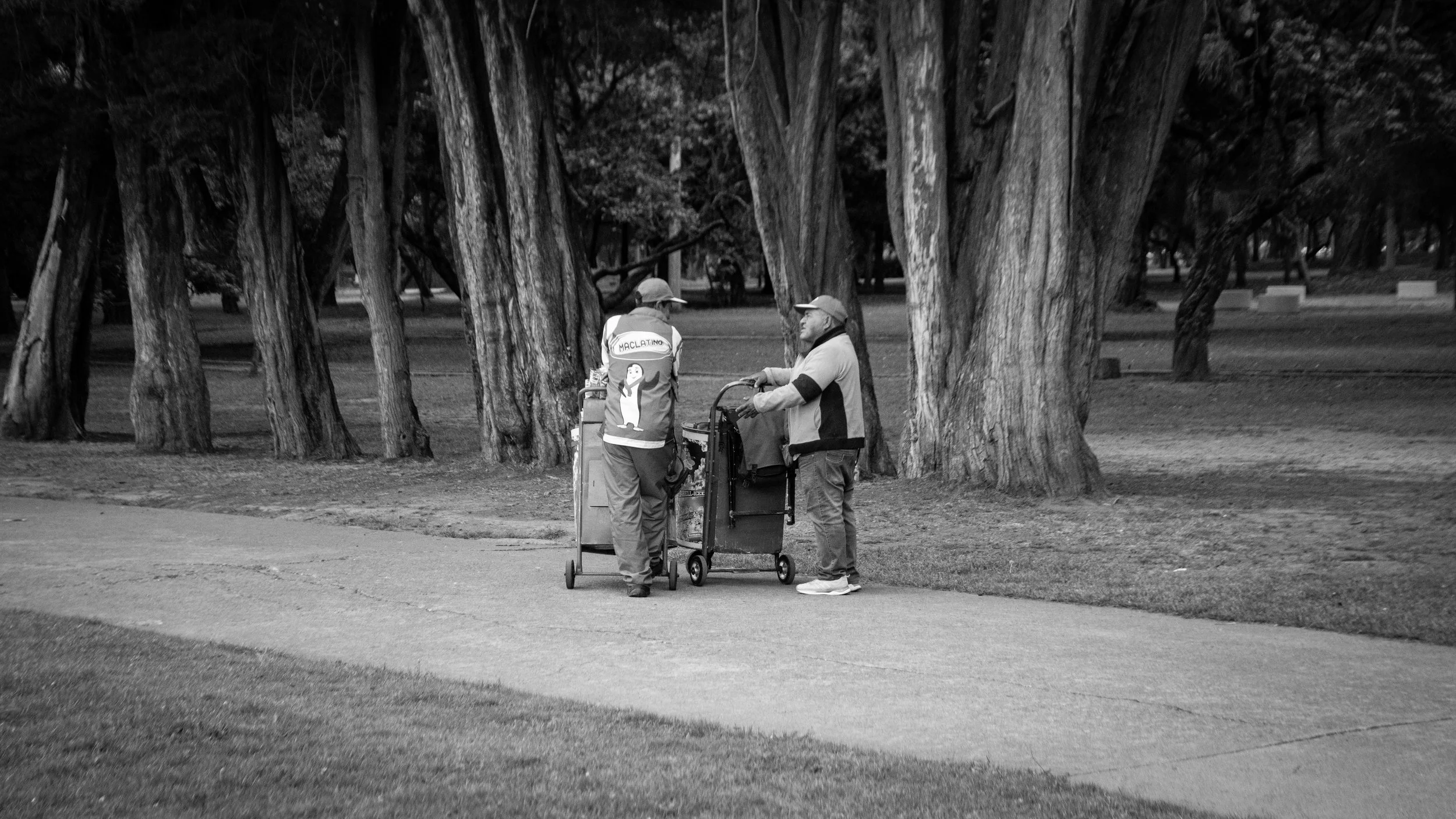 Two people with carts in a park, surrounded by tall trees.