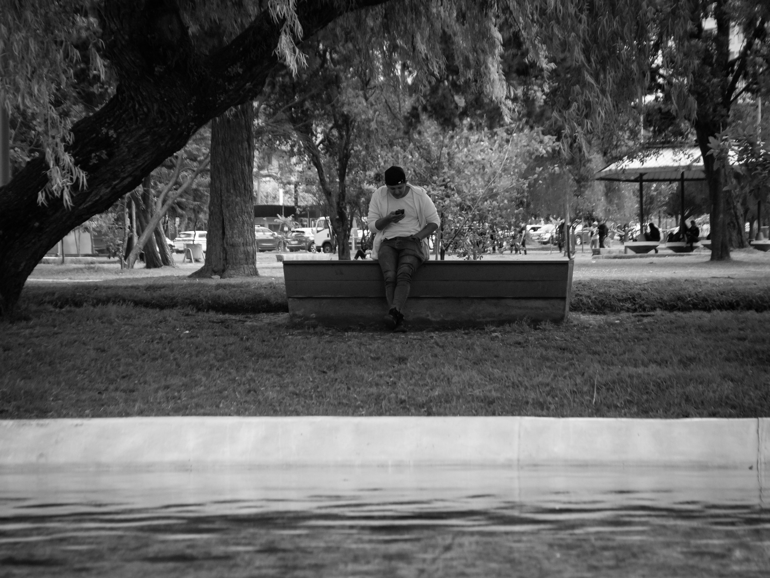 A person sitting on a park bench under a large tree, looking at a cellphone, with parked cars and other park visitors in the background, in a park setting.