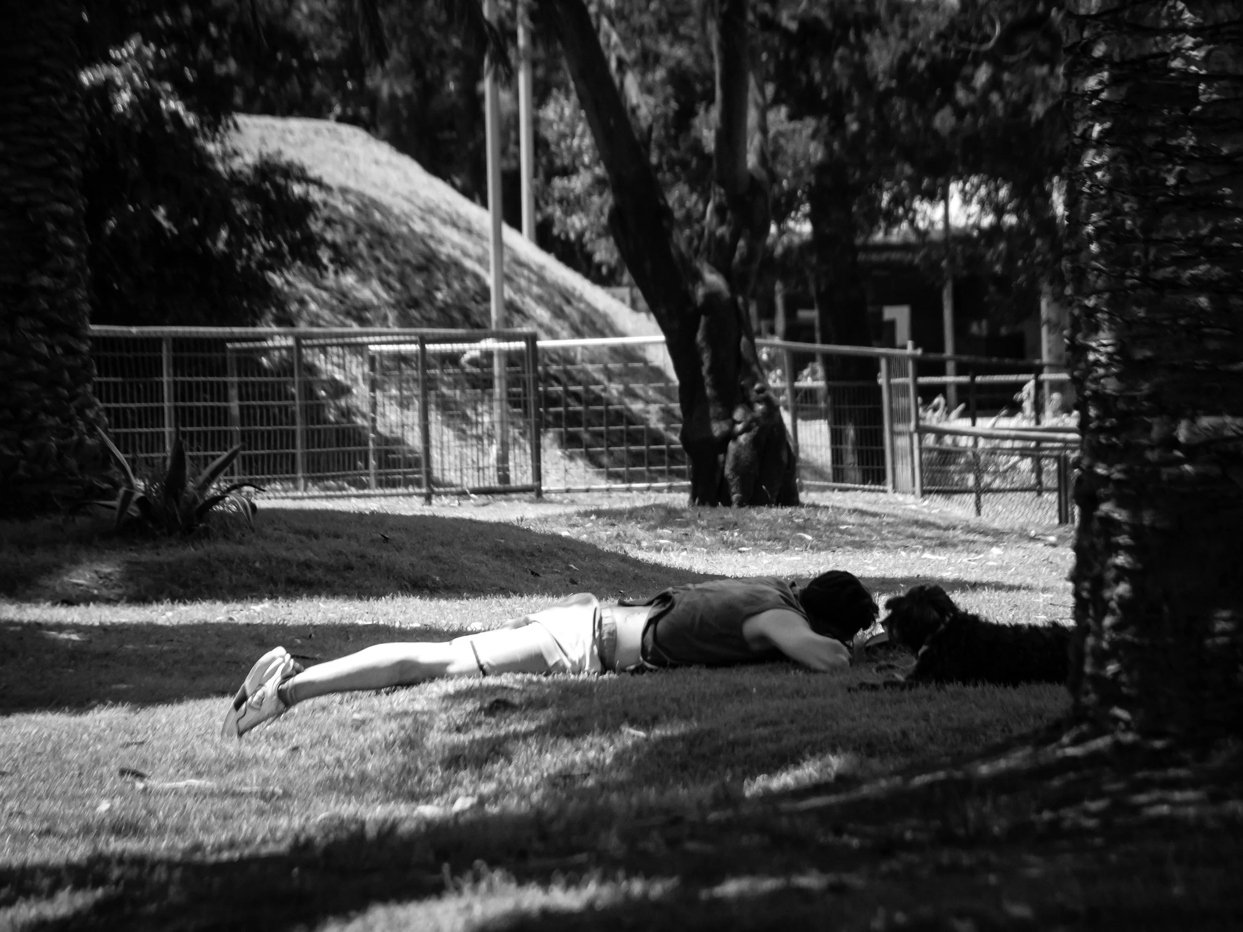 A person lying face down on the grass in a park, with trees and a fence in the background, in a black and white photo.