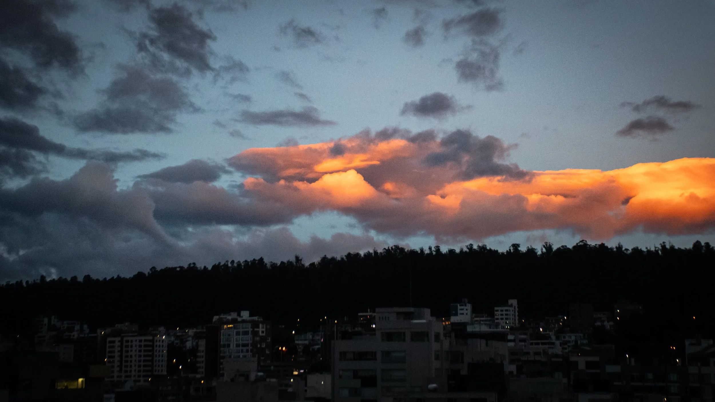 DSC_2350.jpg